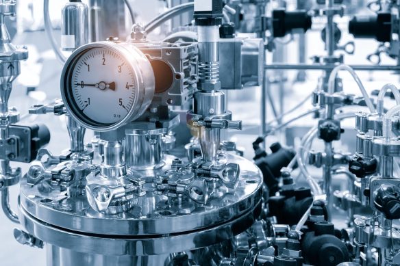 WhatsApp Image 2025-02-02 at 4.39.01 PM